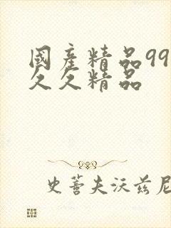 国产精品99久久久精品