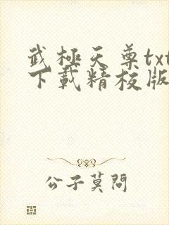 武极天尊txt下载精校版