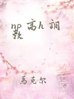 np 高h 调教