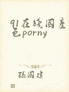 91在线国产九色porny