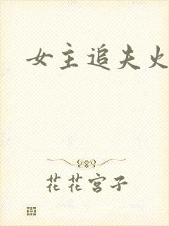 女主追夫火葬场