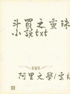 斗罗之灵珠神剑小说txt