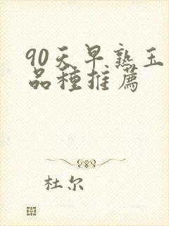 90天早熟玉米品种推荐