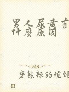 男人尿黄有沫是什么原因