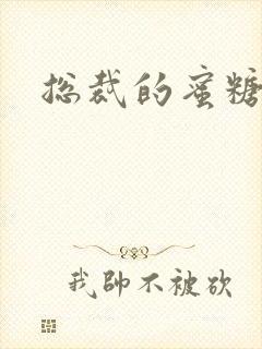 总裁的蜜糖宝贝