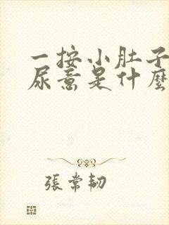 一按小肚子就有尿意是什么原因