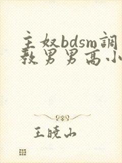 主奴bdsm调教男男高小说