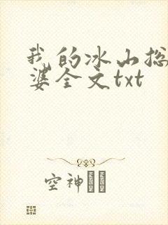 我的冰山总裁老婆全文txt
