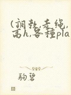 (调教,走绳,高h,各种play,)双男小说