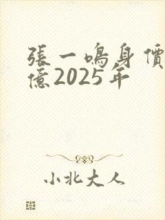 张一鸣身价多少亿2025年