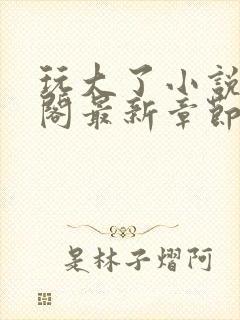 玩大了小说笔趣阁最新章节无弹窗