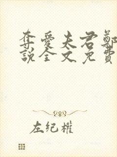 夺爱夫君郑媛小说全文免费阅读