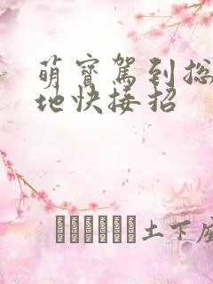 萌宝驾到总裁爹地快接招