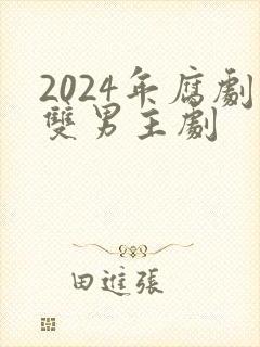 2024年腐剧双男主剧