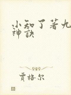 小知了著九天斩神诀