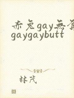 赤兔gay无套gaygaybutt