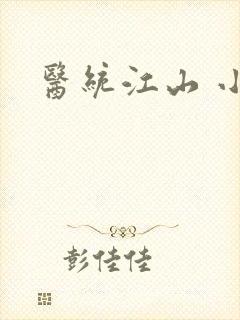 医统江山 小说