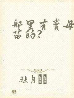 哪里有卖母猪猪苗的?