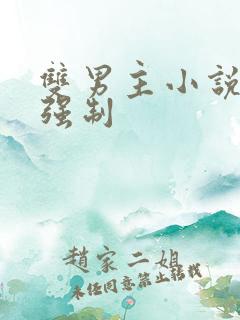 双男主小说推荐强制