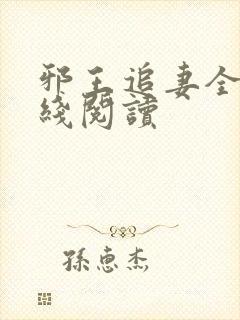 邪王追妻全文在线阅读