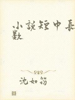 小说短中长篇字数
