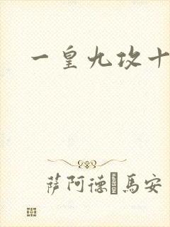 一皇九攻十二妻