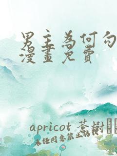 男主为何勾引我漫画免费