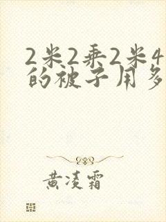 2米2乘2米4的被子用多少棉花