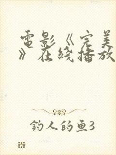 电影《完美搭档》在线播放