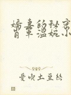 娇妻的秘密白柔肖军温婉小说结局