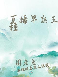 夏播早熟玉米品种