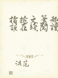 指检文笔趣阁小说在线阅读