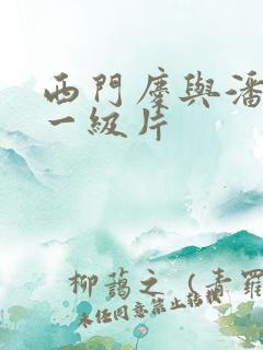 西门庆与潘金莲一级片