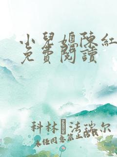 小儿媳陈红全文免费阅读