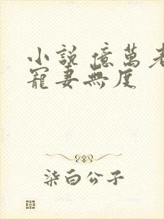 小说 亿万老公宠妻无度