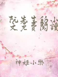 阮先生的小说全文免费阅读无弹窗