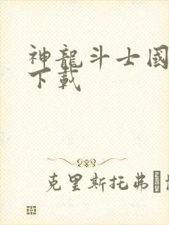 神龙斗士国语版下载