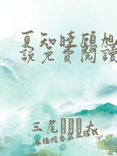 夏知晓顾旭年小说免费阅读最新章节