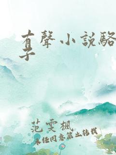 有声小说骆驼祥子