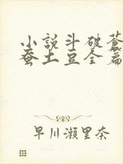 小说斗破苍穹天蚕土豆全篇