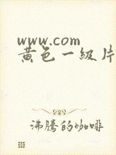 www.com黄色一级片