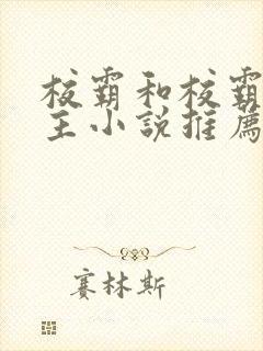 校霸和校霸双男主小说推荐