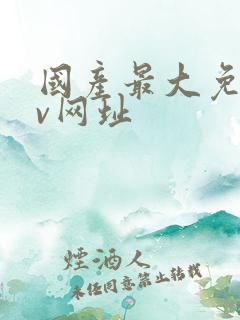 国产最大免费av网址