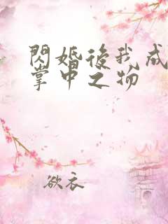 闪婚后我成大佬掌中之物