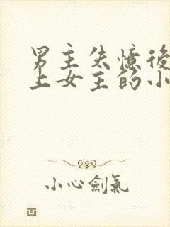 男主失忆后又爱上女主的小说