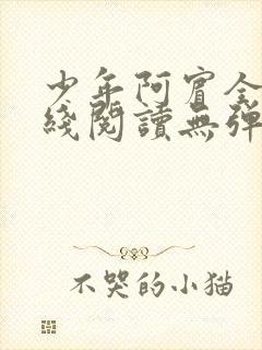 少年阿宾全文在线阅读无弹窗