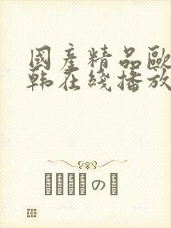 国产精品欧美日韩在线播放