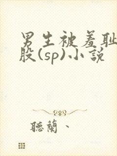 男生被羞耻打屁股(sp)小说