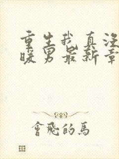 重生我真没想当暖男最新章节目录