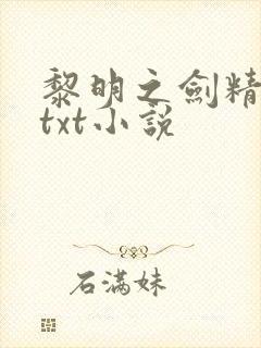 黎明之剑精校版txt小说